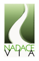 Nadace VIA